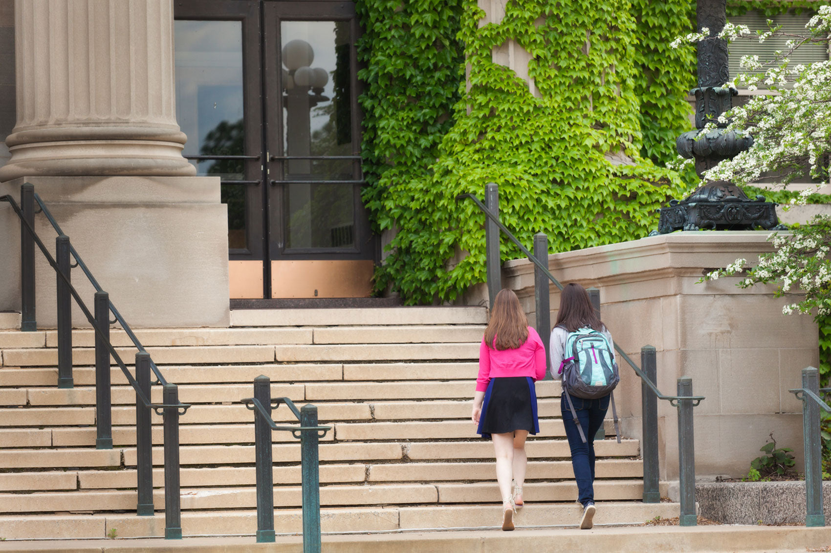 Students walking up steps to a university